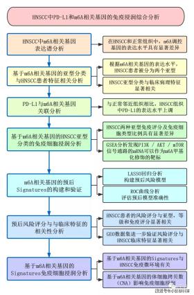 新澳资料解析及协作款计划详解-图3